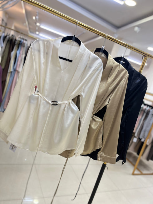Satin Long Sleeves V-Neck Waist Tie Tops